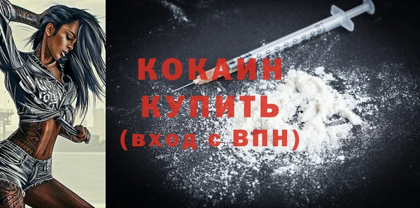 прущая мука Арсеньев