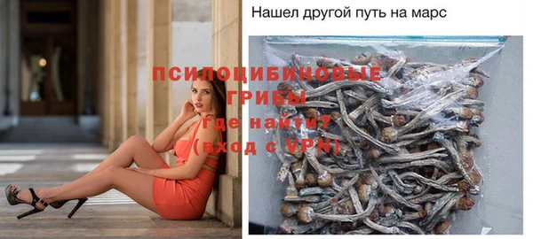 первитин Армянск