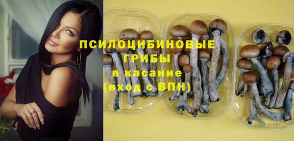 прущая мука Арсеньев